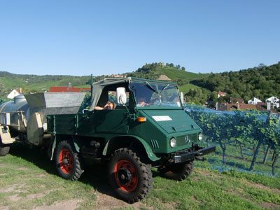 Unimog mit Maischewagen zwischen den Rebzeilen am Galgenberg
