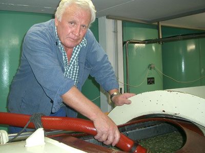 Die Rotweinmaische wird im Keller auf die Presse gegeben