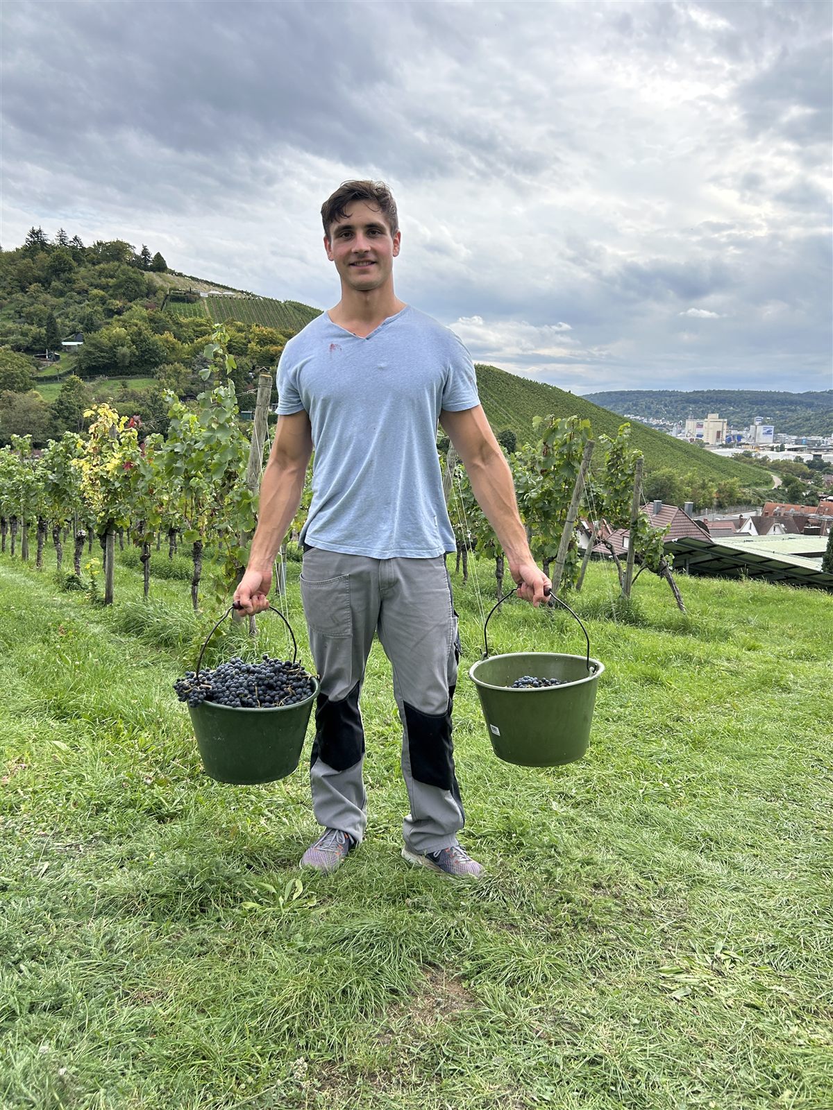 Ein junger Mann mit zwei vollen Eimern im Weinberg, dahinter die Stadt
