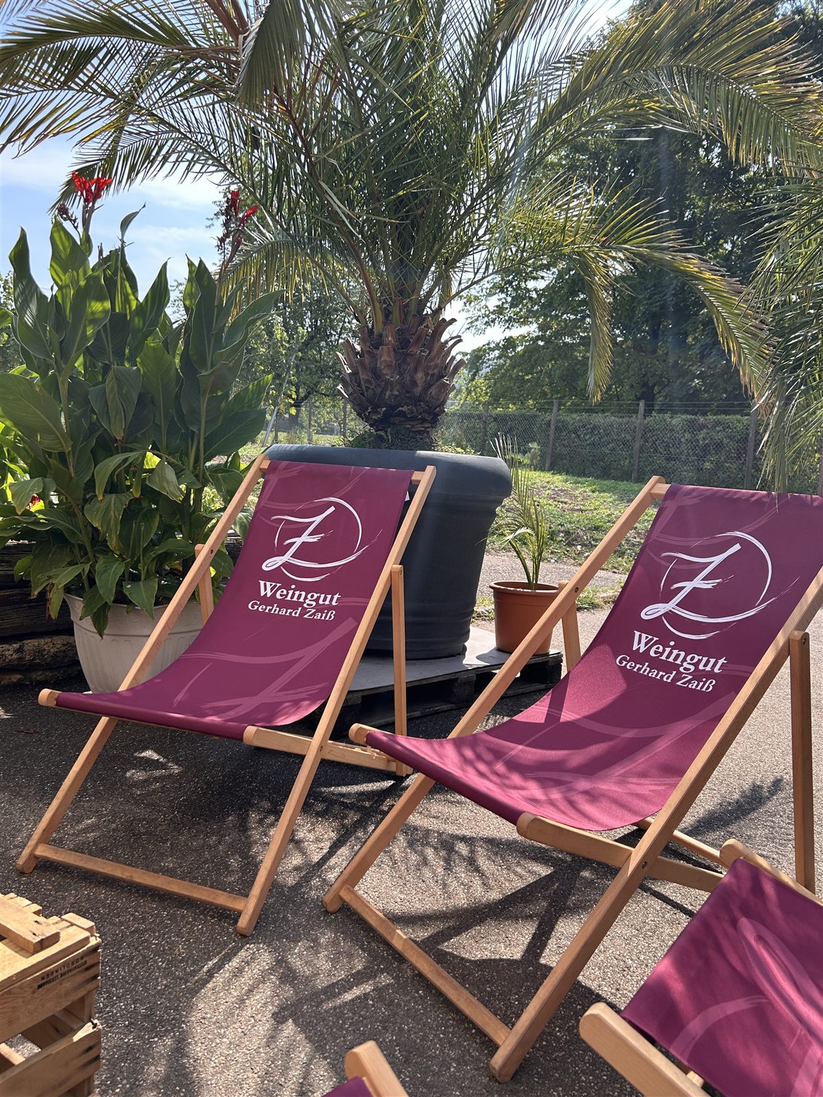 Zwei Liegestühle mit Logo unter einer Palme
