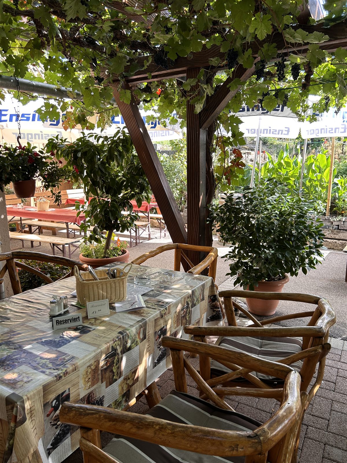Der Stammtisch in der Laube mit rustikalen Holzstühlen