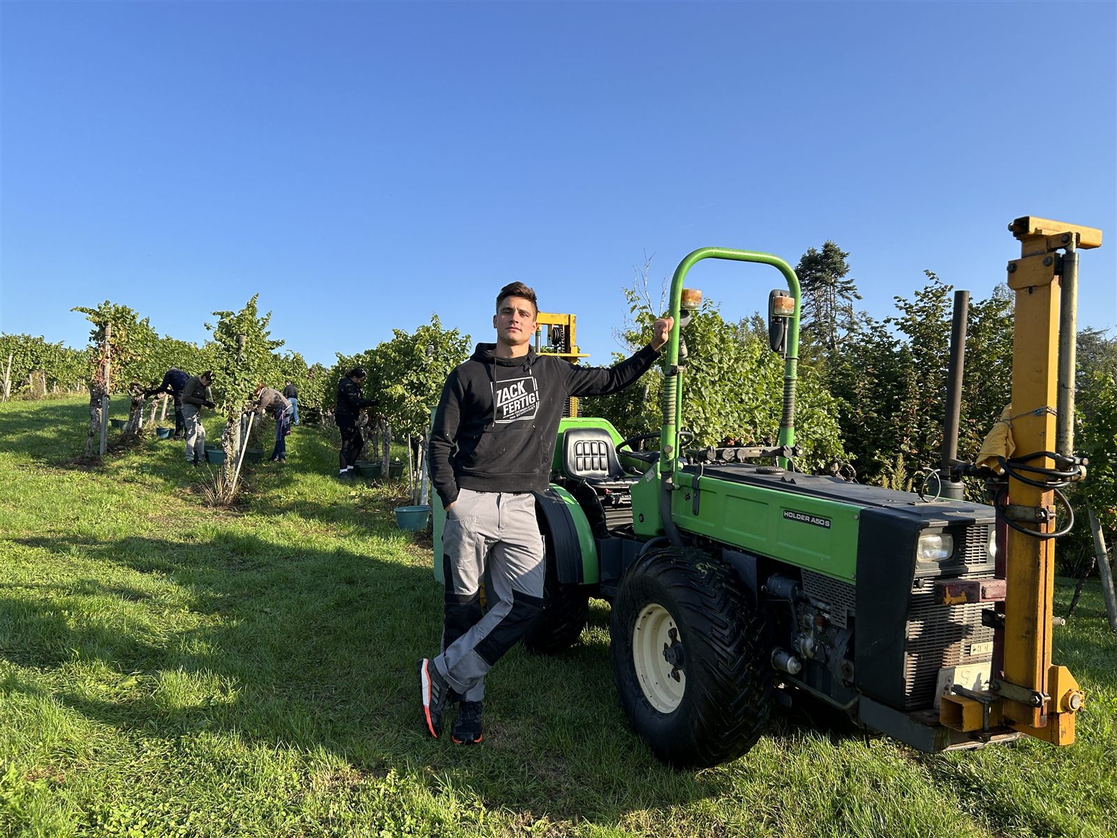 Ein junger Mann lehnt an einem grünen Schmalspurtraktor zwischen den Rebzeilen